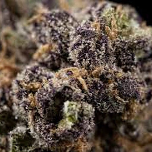 Top Shelf - Tarts